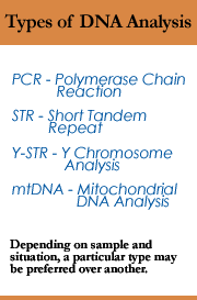 TypeDNAAnalysis.gif